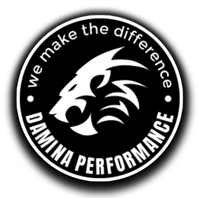 Damina Performance velgen logo